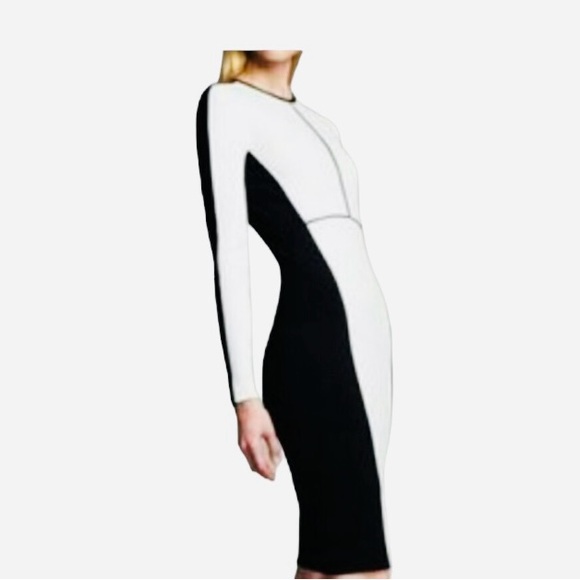 NWOT Narciso Rodriguez Color block Sheath Dress by Design Nation Size Me… - Picture 2 of 11
